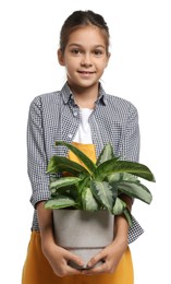 Photo of Girl with potted plant pretending to be gardener on white background. Dreaming of future profession