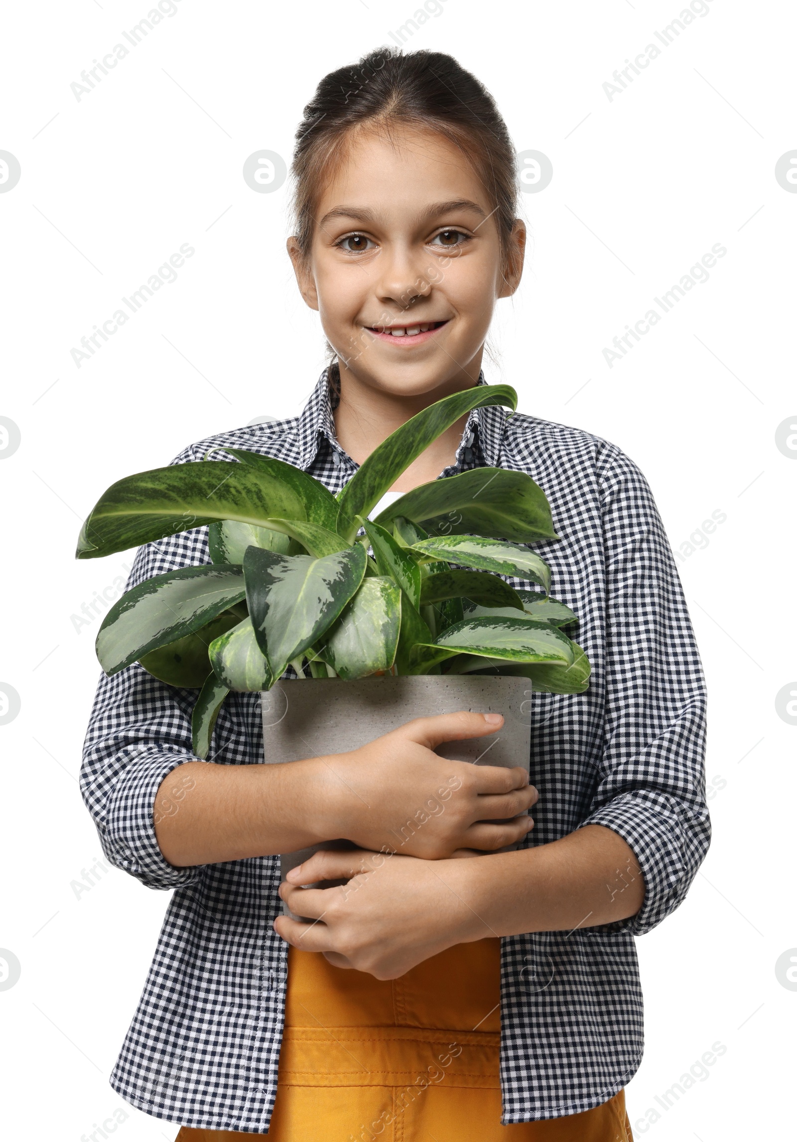 Photo of Girl with potted plant pretending to be gardener on white background. Dreaming of future profession