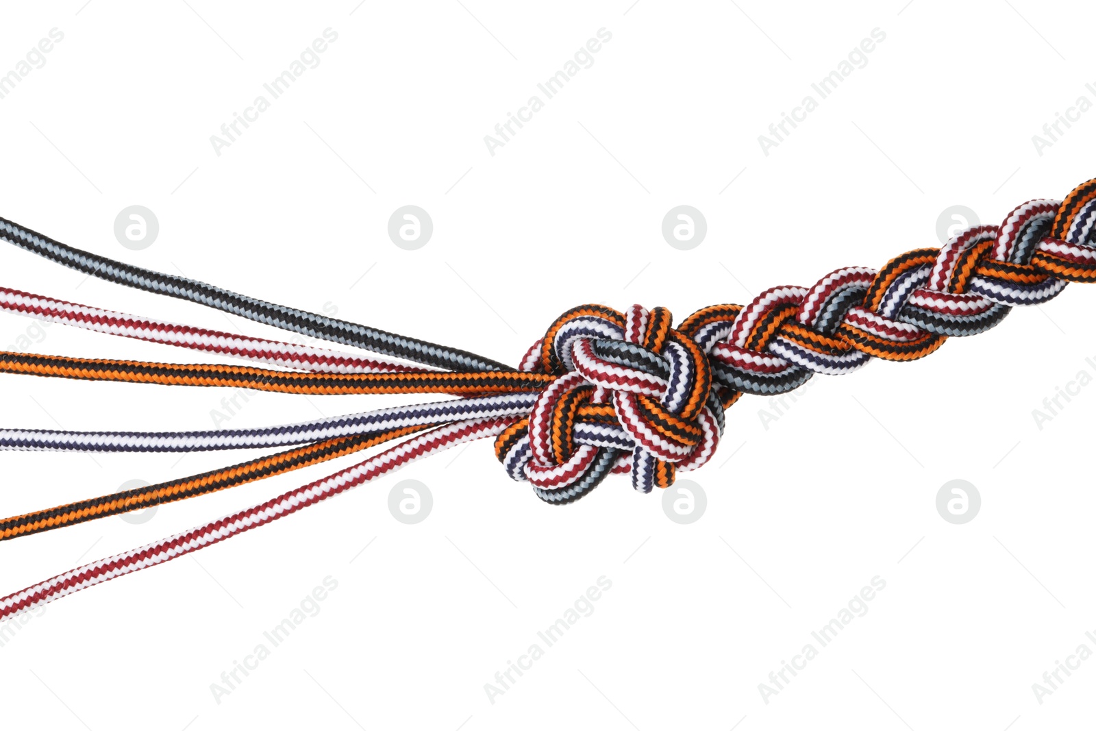 Photo of Colorful ropes tied in knot isolated on white. Unity concept