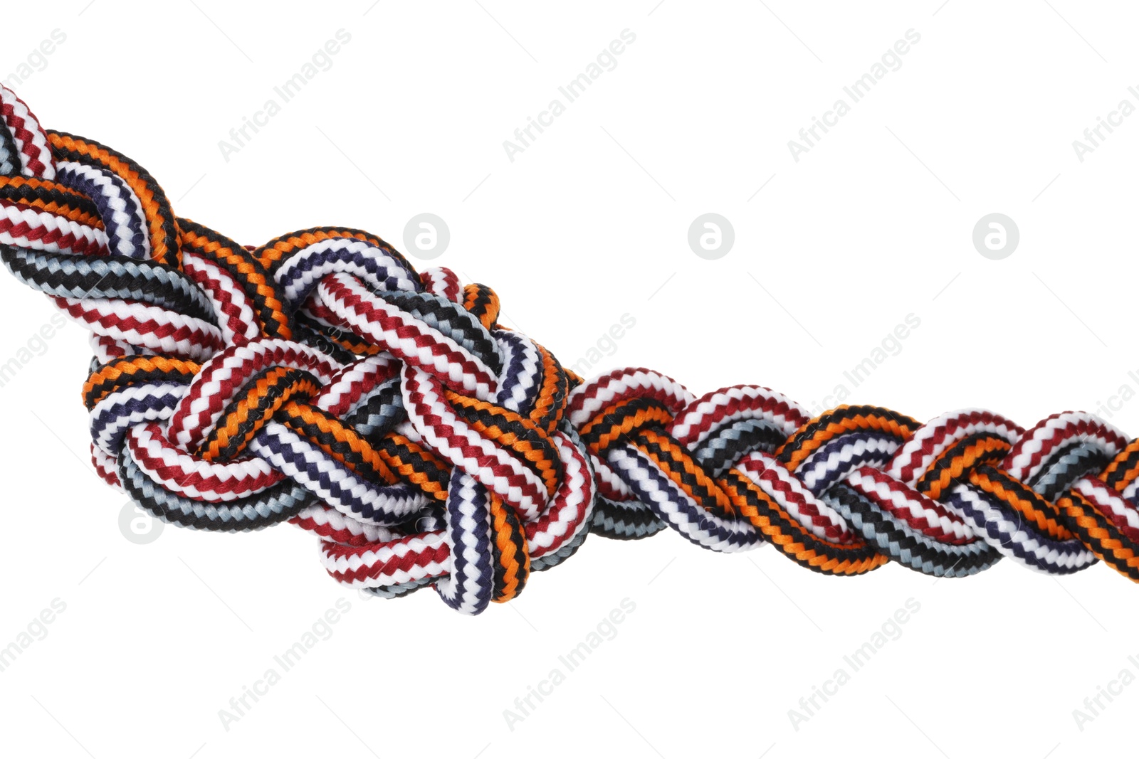 Photo of Colorful ropes tied in knot isolated on white. Unity concept