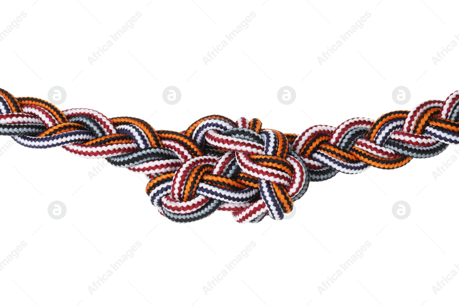 Photo of Colorful ropes tied in knot isolated on white. Unity concept