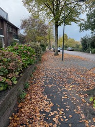 Photo of View of street with dry fallen leaves on autumn day