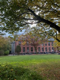 Photo of Beautiful tree and parked bicycles near building on autumn day