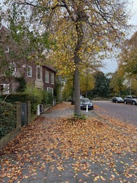 Photo of View of street with parked cars and dry fallen leaves on autumn day