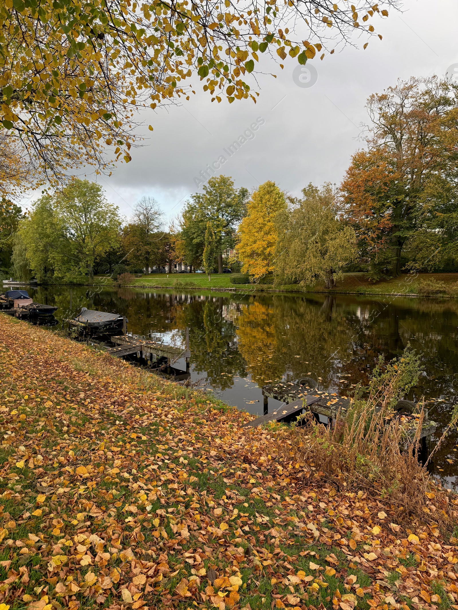 Photo of Beautiful view of canal with moored boats and colorful fallen leaves on autumn day