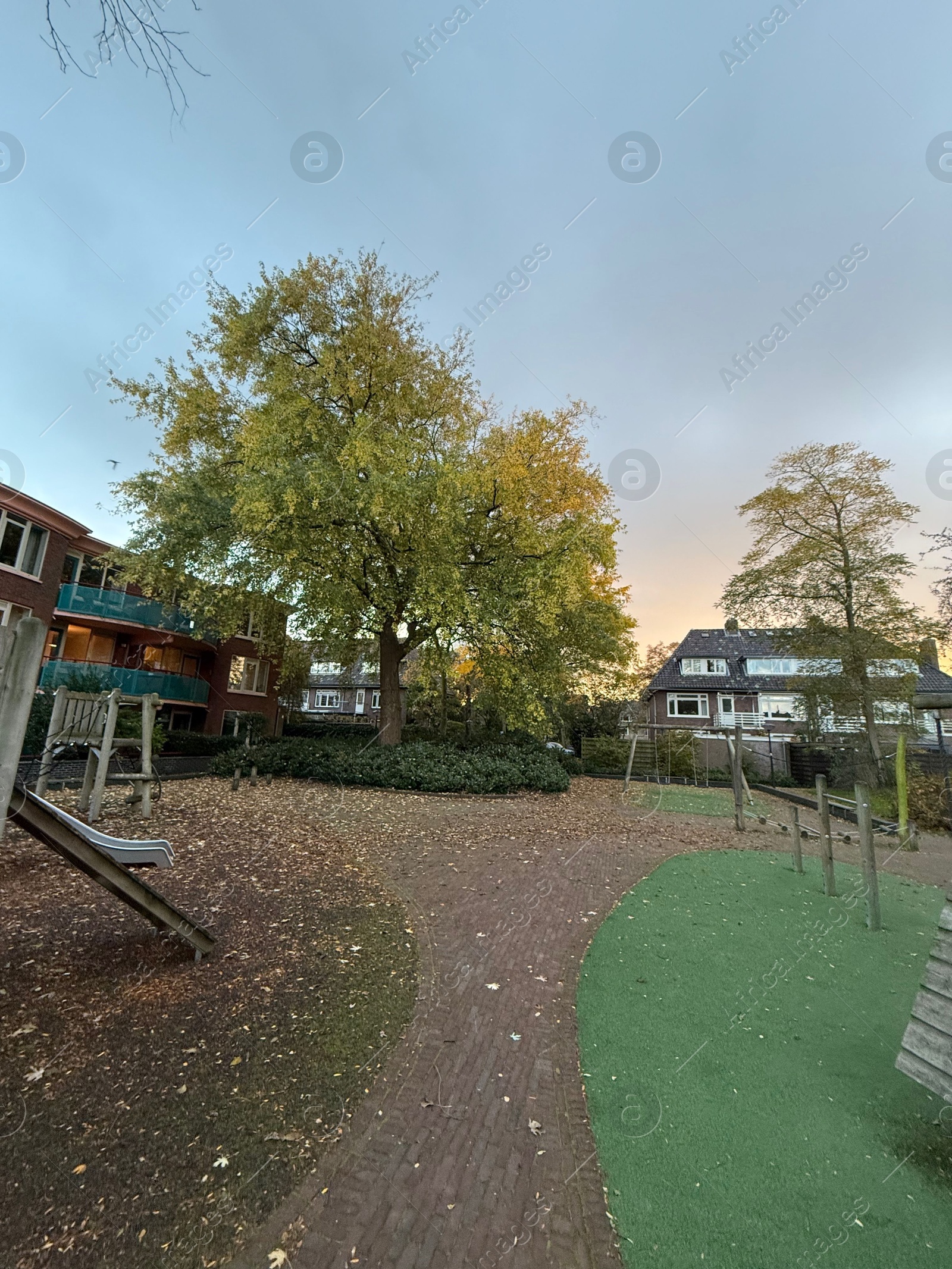 Photo of Beautiful tree and dry fallen leaves in residential area on autumn day