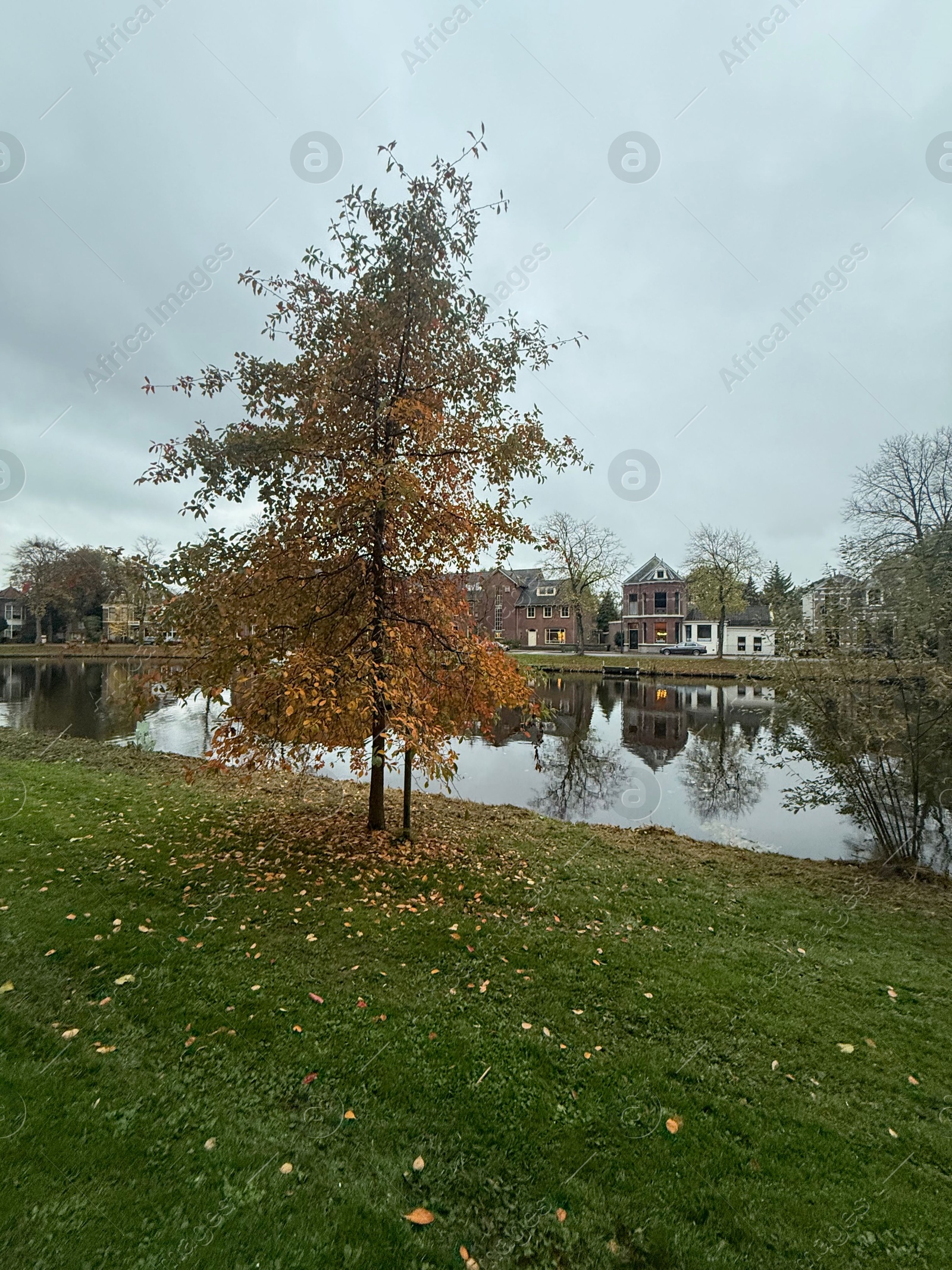 Photo of Trees, fallen leaves, canal and houses on autumn day