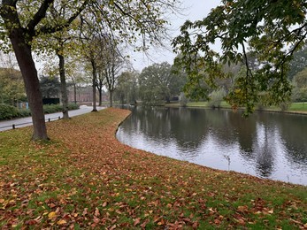 Photo of VIew of trees, fallen leaves and canal on autumn day