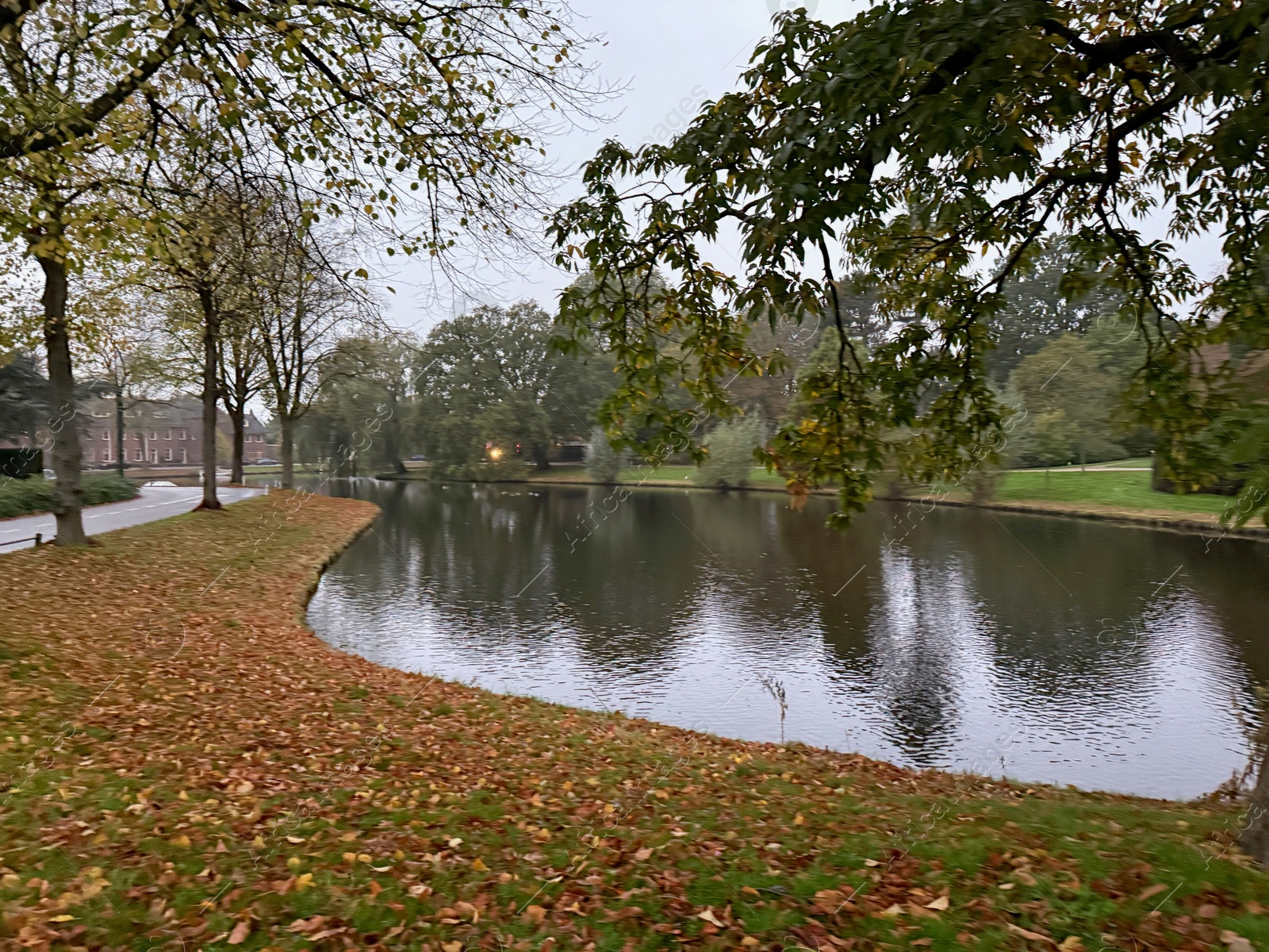 Photo of VIew of trees, fallen leaves and canal on autumn day