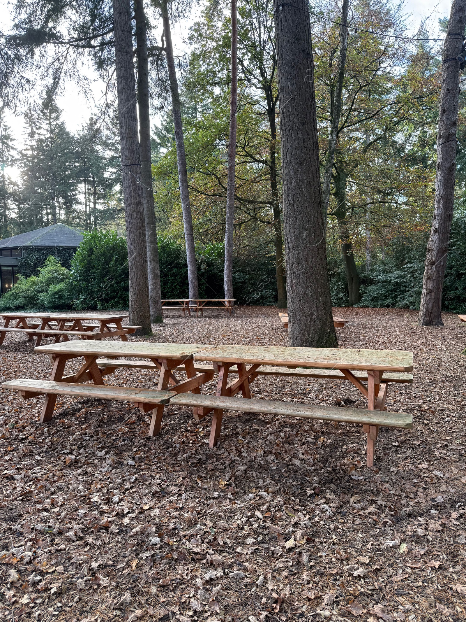 Photo of Wooden picnic tables with benches in autumn park