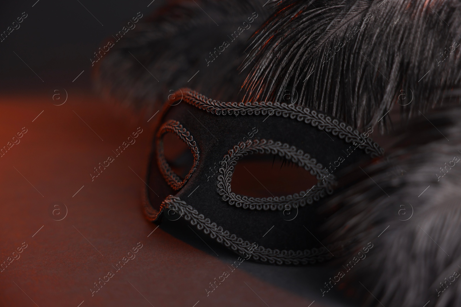 Photo of Beautiful carnival mask and feathers on black background in color lights, closeup. Space for text