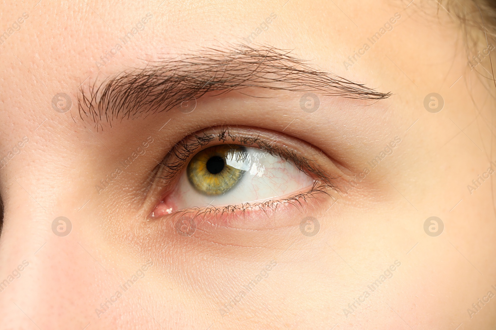 Photo of Macro view of young woman with beautiful eyes