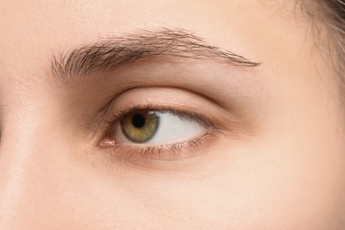 Photo of Macro view of young woman with beautiful eyes