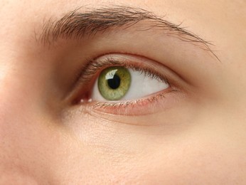 Photo of Macro view of young woman with beautiful eyes