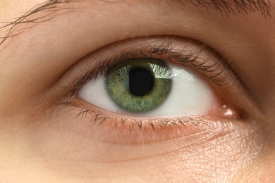 Photo of Macro view of young woman with beautiful eyes