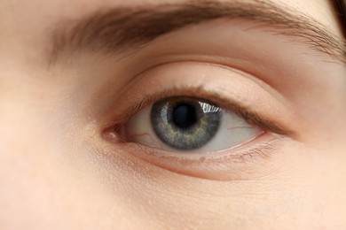 Photo of Macro view of young woman with beautiful blue eyes