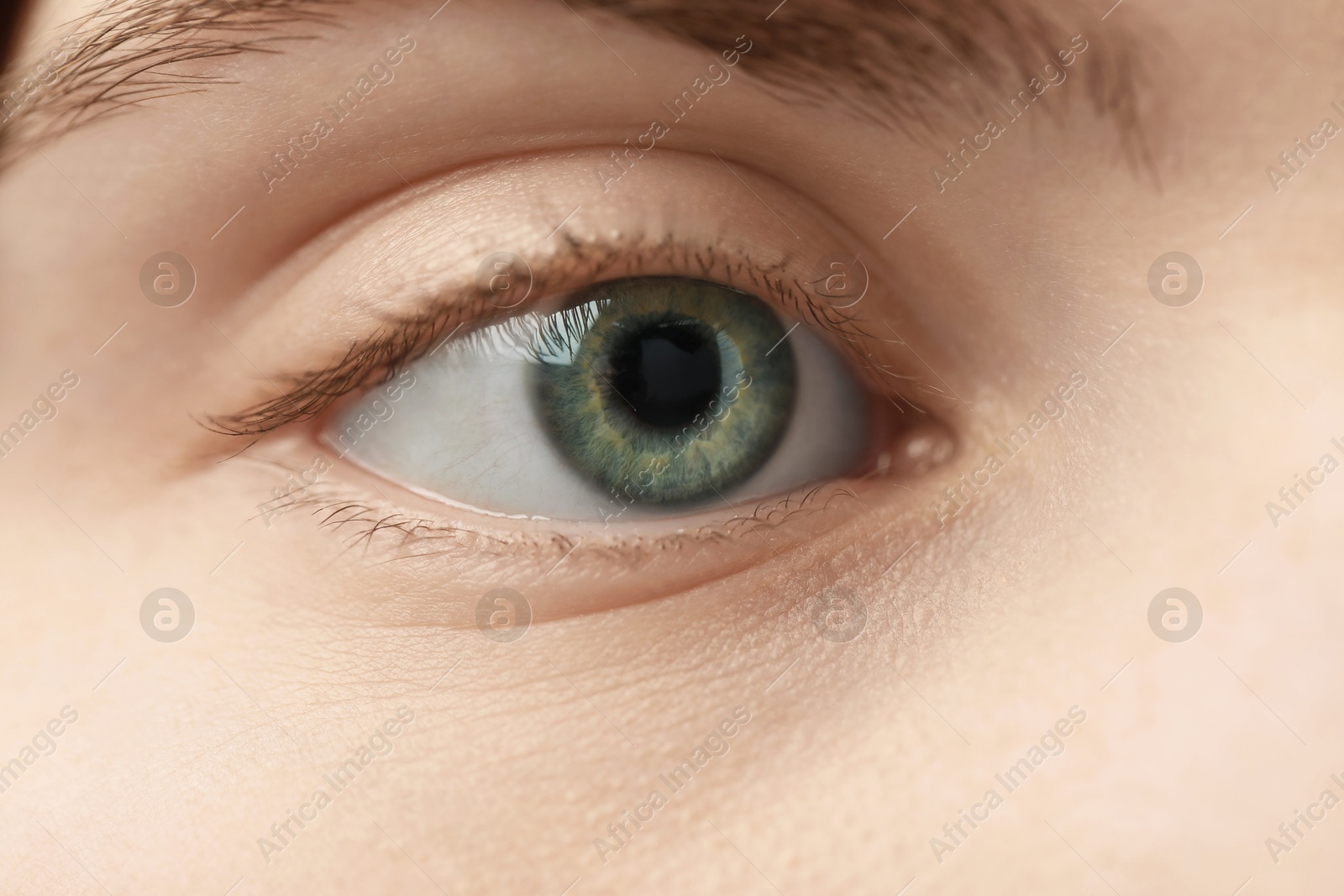 Photo of Macro view of young woman with beautiful blue eyes