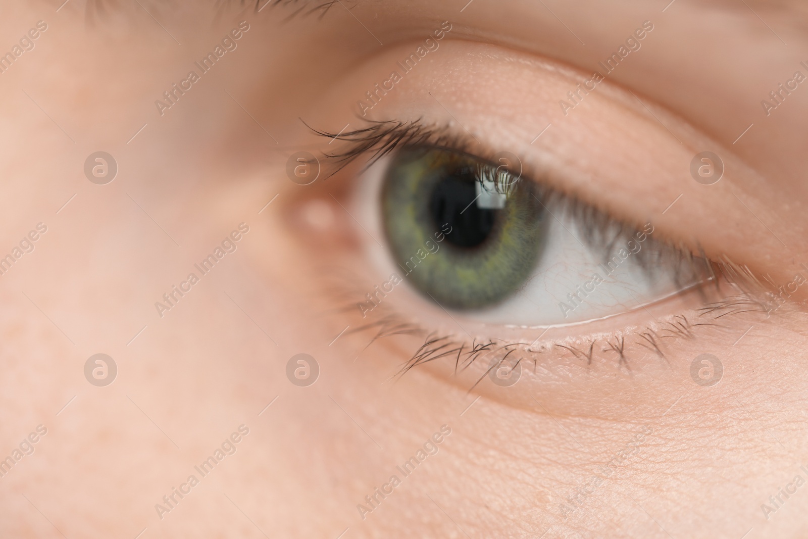 Photo of Macro view of young woman with beautiful blue eyes