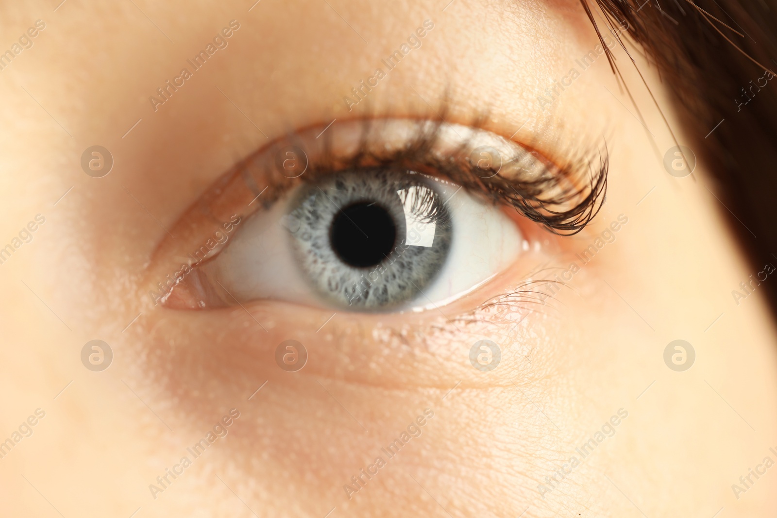 Photo of Macro view of young woman with beautiful blue eyes