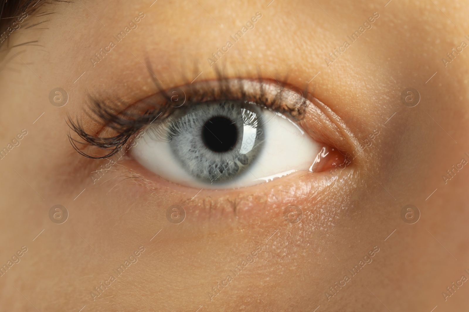 Photo of Macro view of young woman with beautiful blue eyes