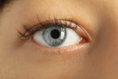 Photo of Macro view of young woman with beautiful blue eyes