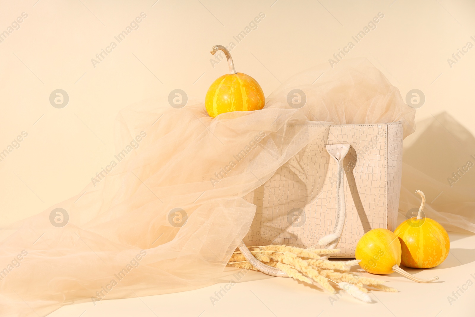 Photo of Bag, fabric, pumpkins and dry flowers on beige background