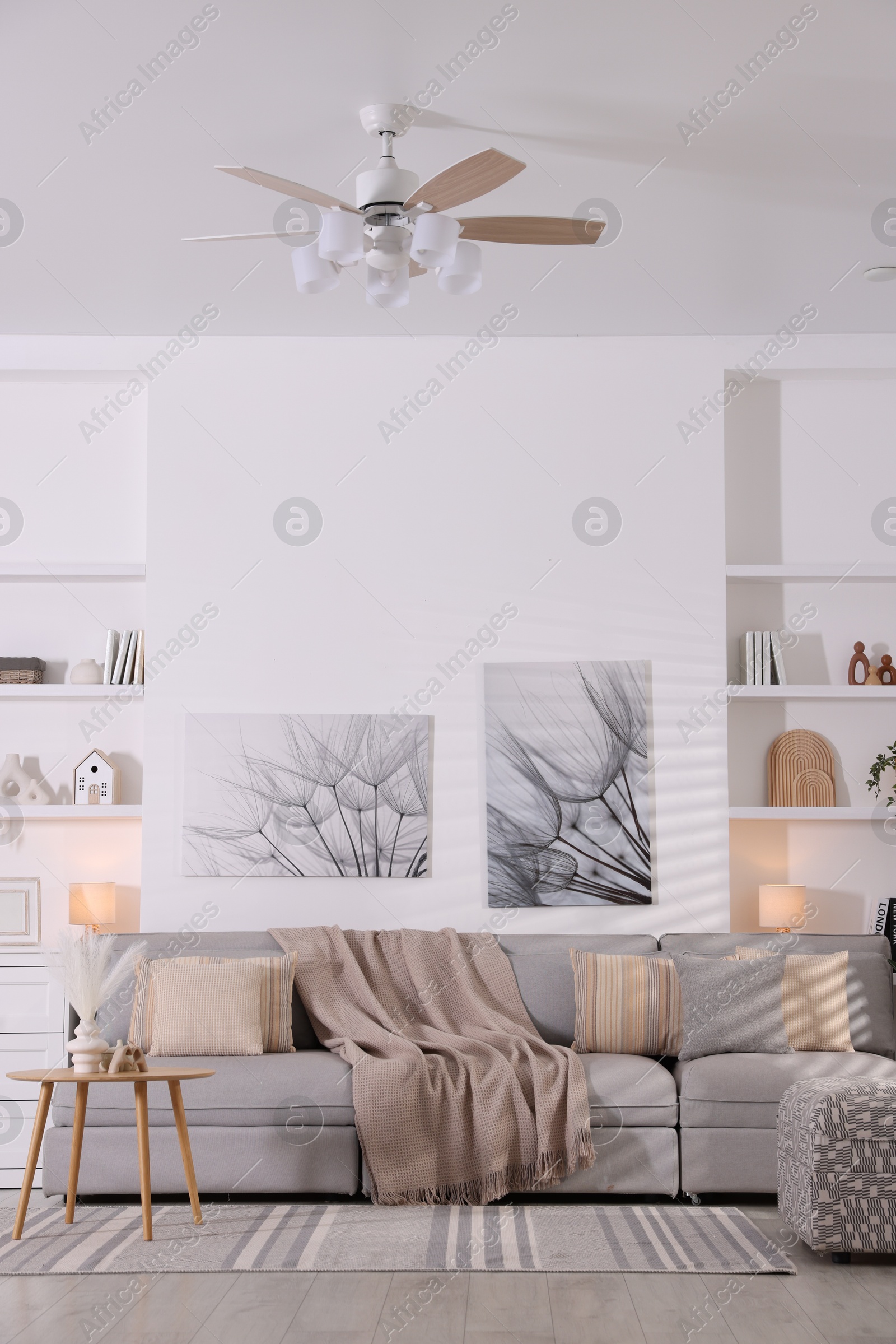 Photo of Modern living room interior. Comfortable sofa and decorative elements indoors