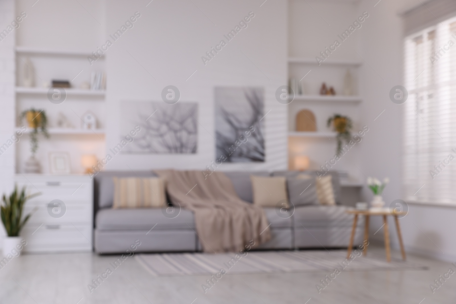 Photo of Modern living room interior. Comfortable sofa and other furniture indoors, blurred view