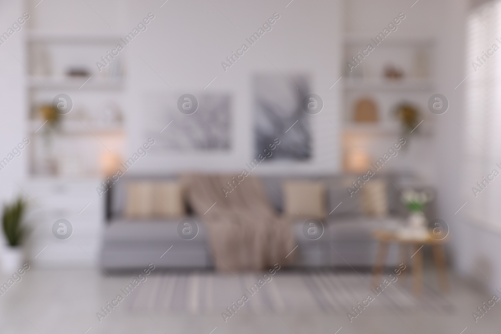 Photo of Modern living room interior. Comfortable sofa and other furniture indoors, blurred view