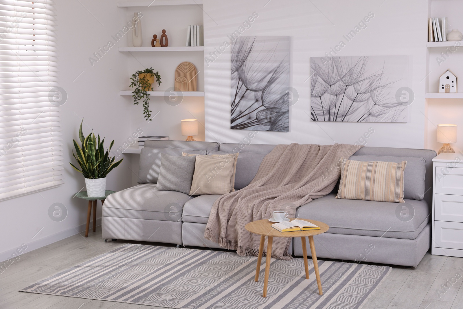 Photo of Comfortable sofa, houseplants and decorative elements in living room. Interior design