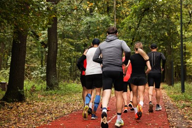 Photo of Group of people jogging together in park, back view