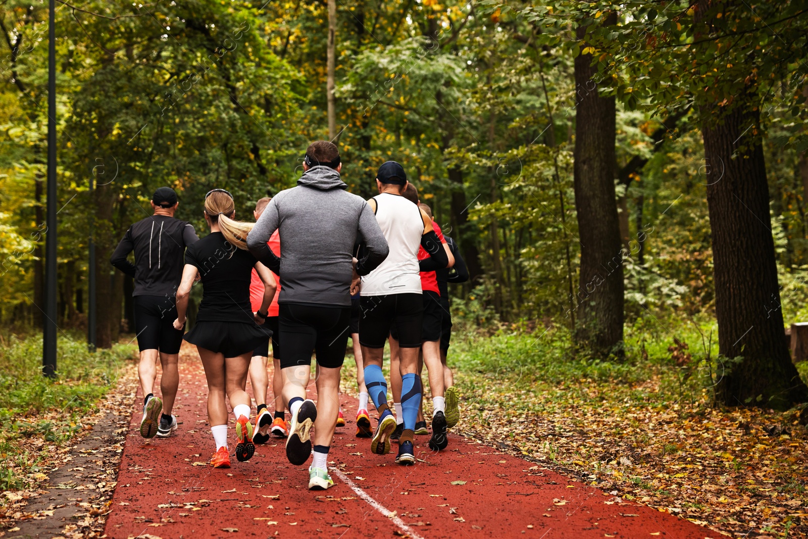 Photo of Group of people jogging together in park, back view