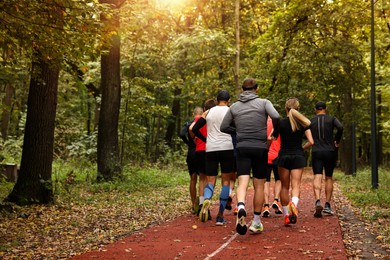 Photo of Group of people jogging together in park, back view. Space for text