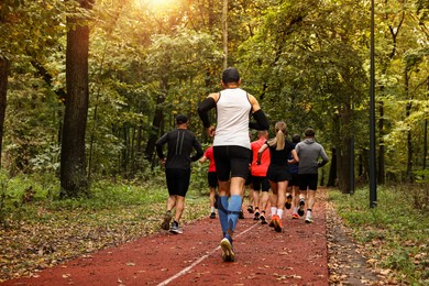 Photo of Group of people jogging together in park, back view