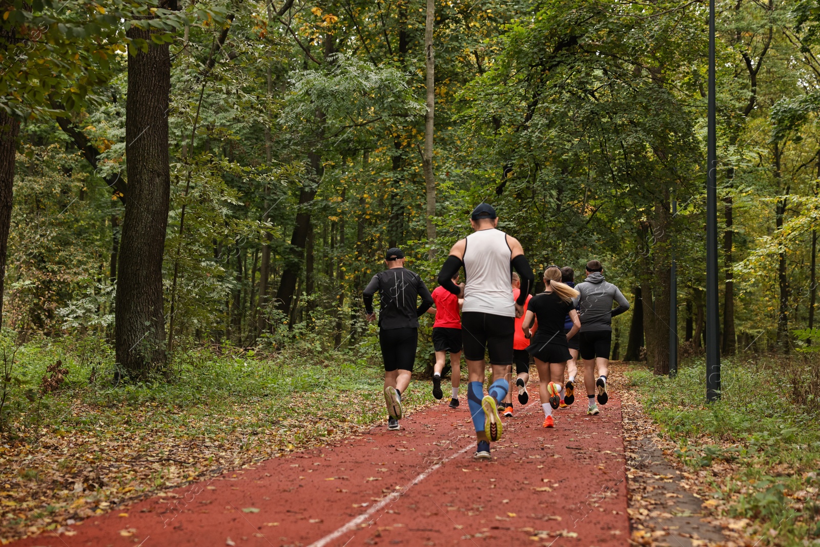 Photo of Group of people jogging together in park, back view