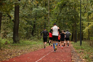 Photo of Group of people jogging together in park, back view