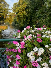 Photo of Beautiful flowers on bridge over canal in park