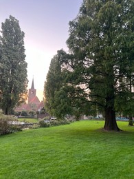 Photo of View of beautiful trees in park on sunset