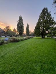 Photo of View of beautiful trees in park on sunset