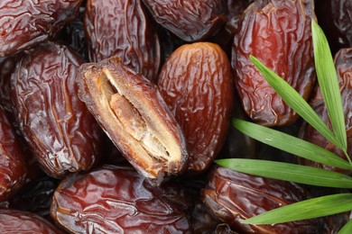 Photo of Many tasty dried dates and leaf as background, closeup