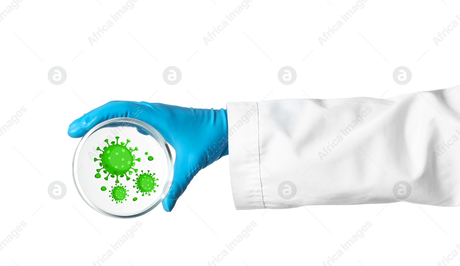 Image of Scientist holding Petri dish with microbes on white background, closeup. Illustration of microorganisms