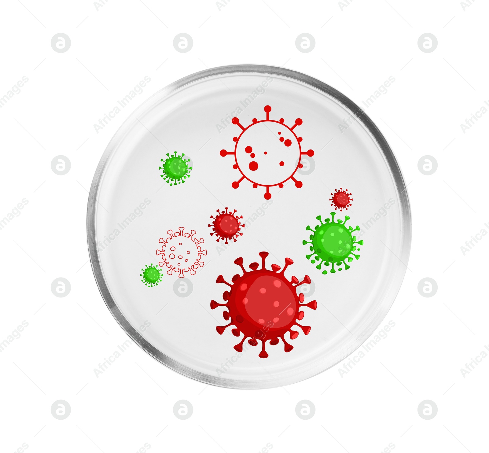 Image of Petri dish with microbes on white background, top view. Illustration of microorganisms