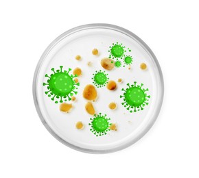 Image of Petri dish with microbes on white background, top view. Illustration of microorganisms