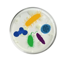 Image of Petri dish with microbes on white background, top view. Illustration of microorganisms