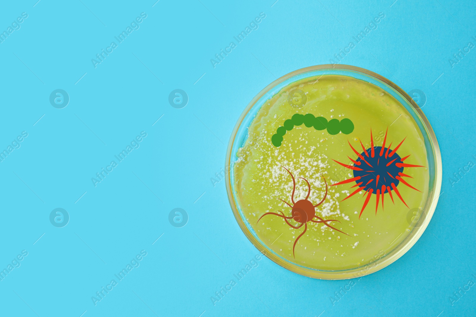 Image of Petri dish with microbes on light blue background, top view. Illustration of microorganisms