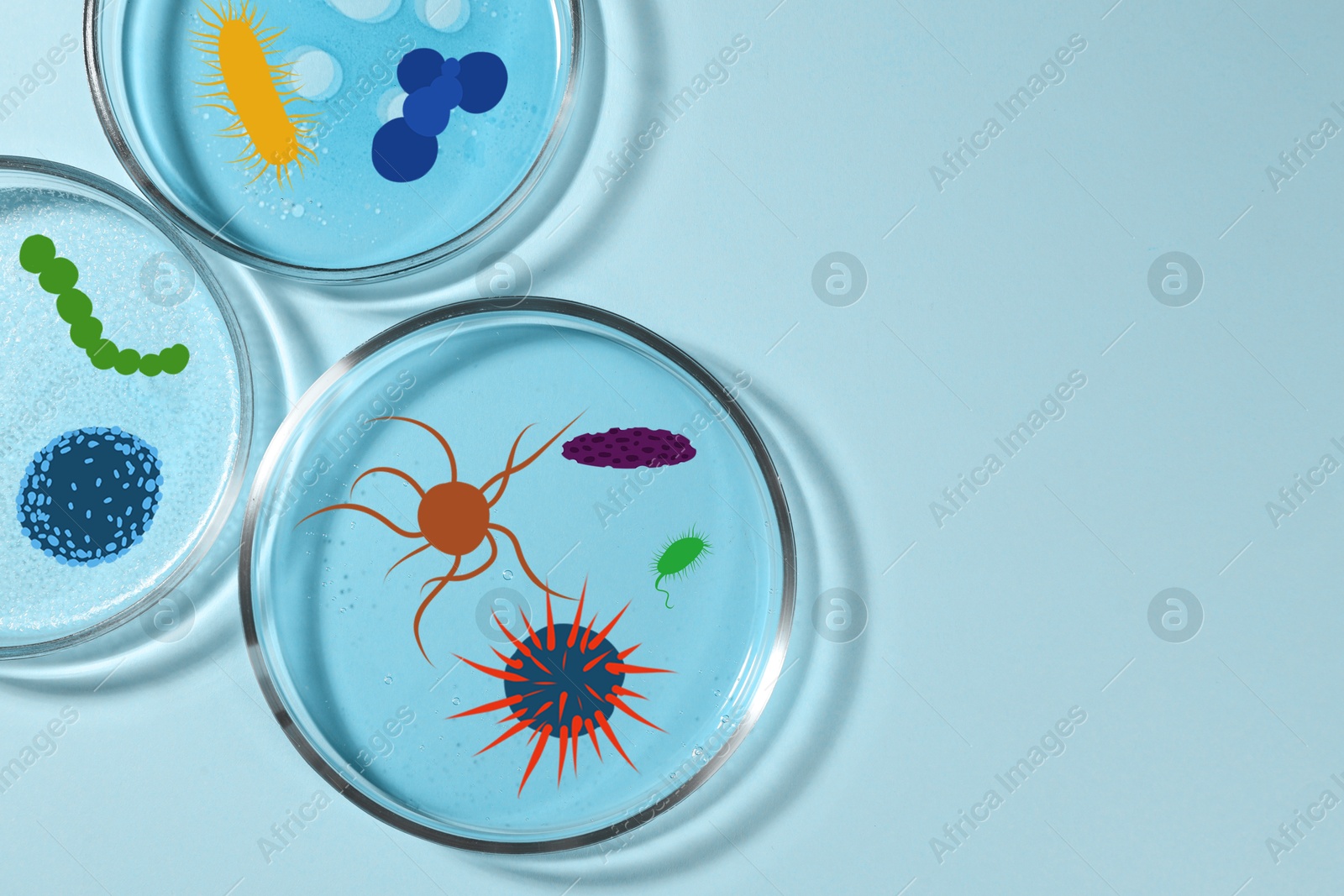 Image of Petri dishes with microbes on light blue background, top view. Illustration of microorganisms