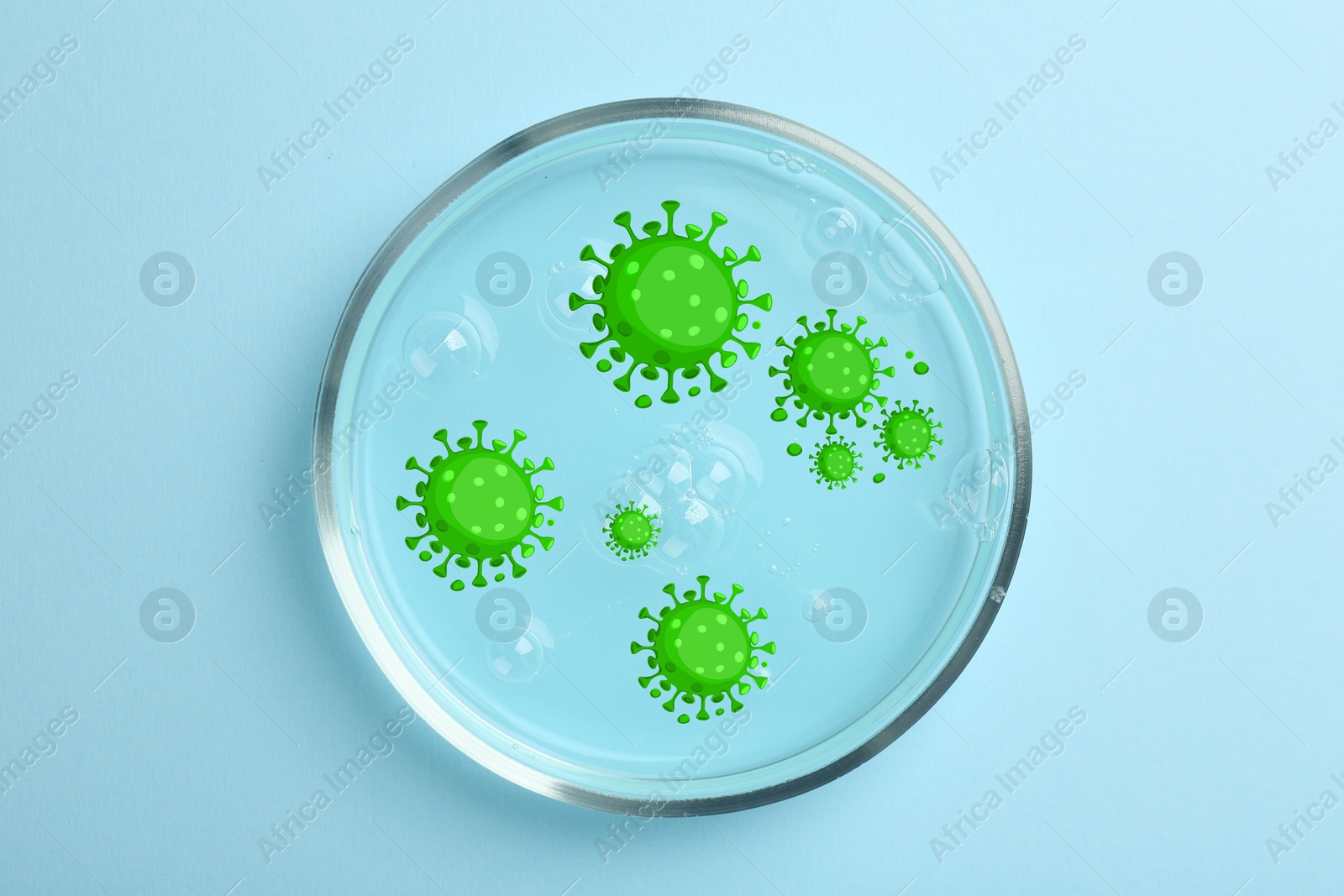 Image of Petri dish with microbes on light blue background, top view. Illustration of microorganisms