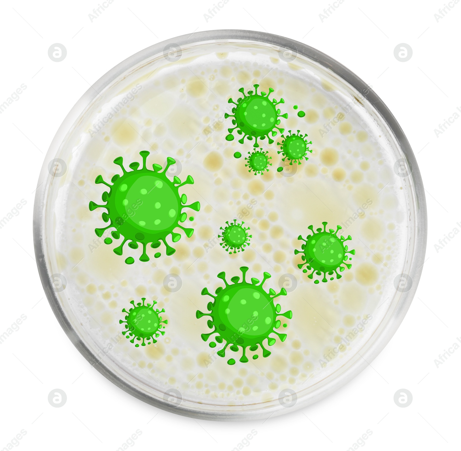 Image of Petri dish with microbes on white background, top view. Illustration of microorganisms