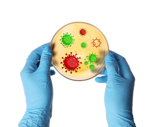 Image of Scientist holding Petri dish with microbes on white background, closeup. Illustration of microorganisms