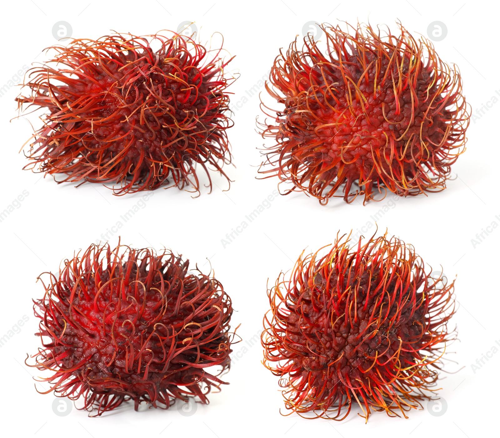 Image of Fresh unpeeled rambutan fruits isolated on white, set